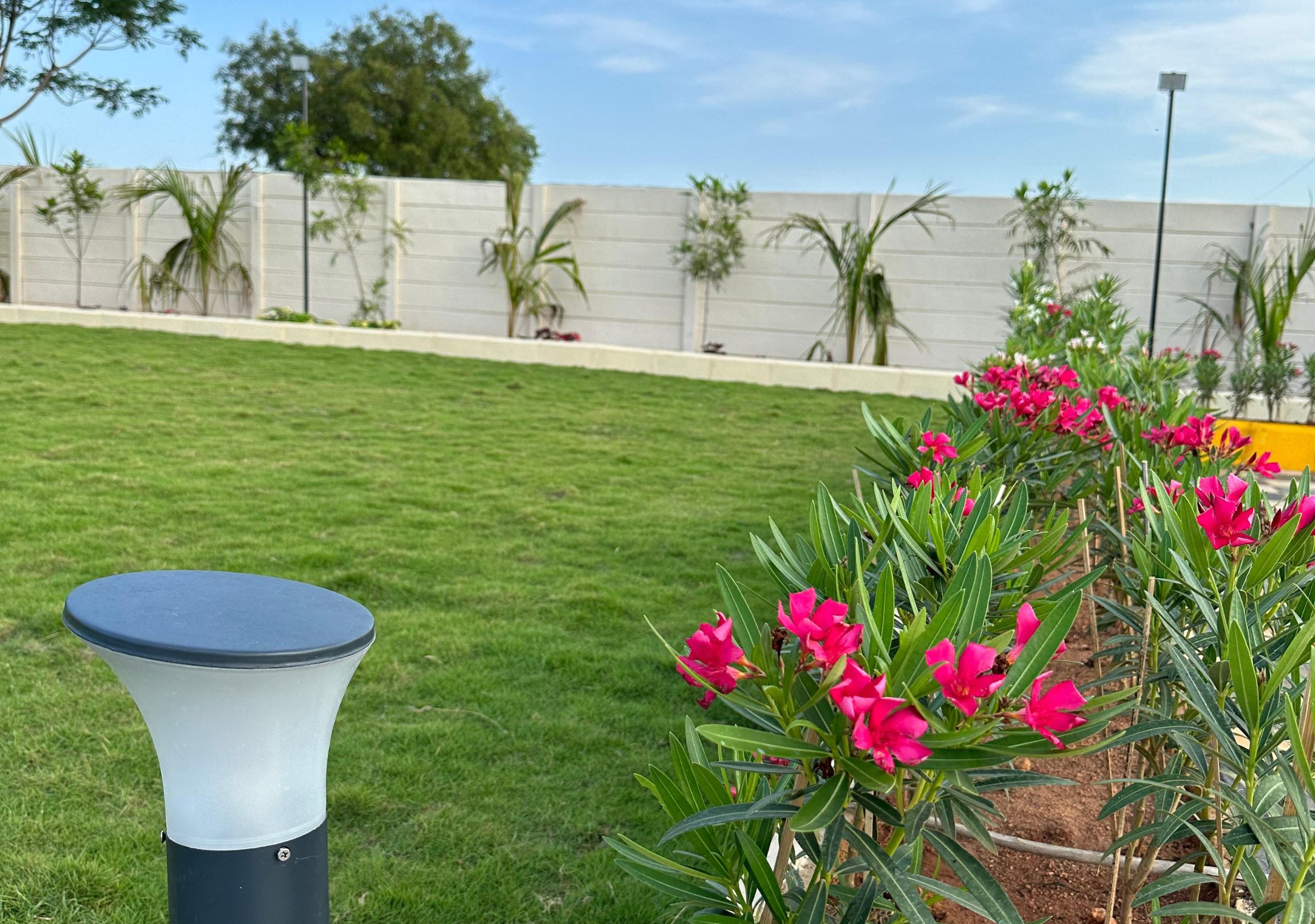 Untitled design (43)